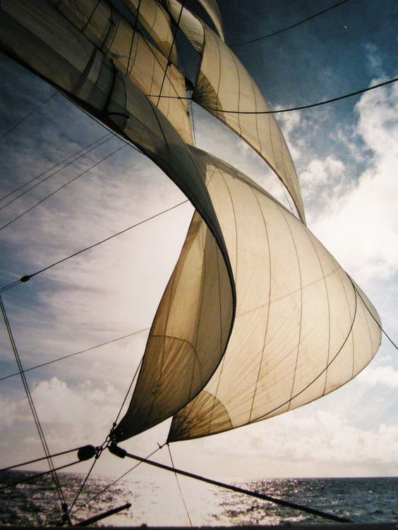 Logbook: we have been facing rough seas for days but the trend is for the winds to calm and clouds to clear. Mostly sunny skies ahead as issue 18 approaches!