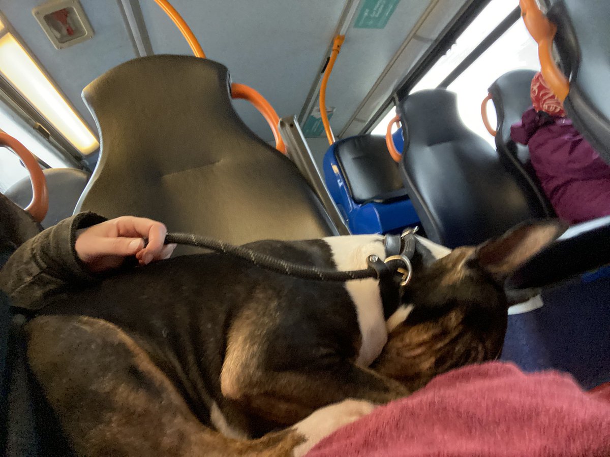 the morning after the night before😴