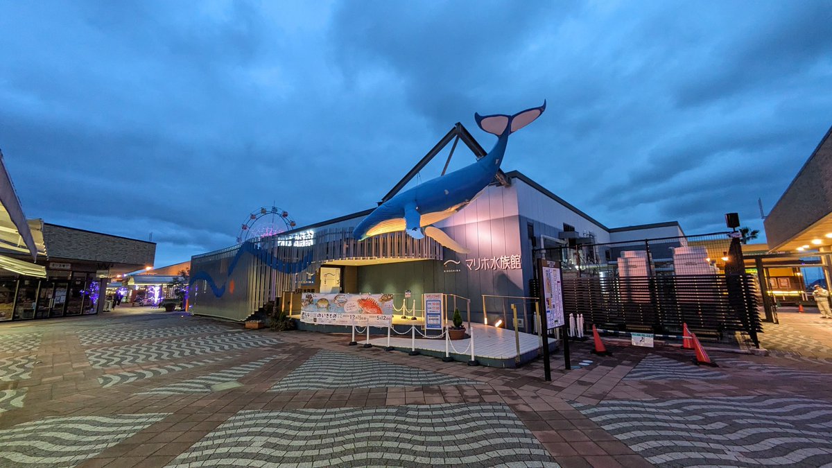 Zz123pesojima's tweet photo. マリホ水族館
水族館好きを集めた貸切イベントに行ってきた。本イベント主催者の開催するものとしては、初の首都圏以外の会場、しかも平日ということで、撮影ガチ勢の割合が濃い目な気がした。でも、自分は堂々とスマホのみで楽しみきったよ。
#水槽展示施設巡り
#マリホ水族館は貸し切れるらしい https://t.co/rwvGMqPkgs