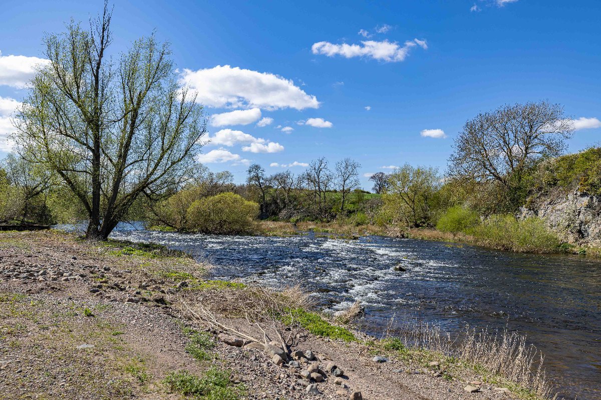 FBR Seed tweet media