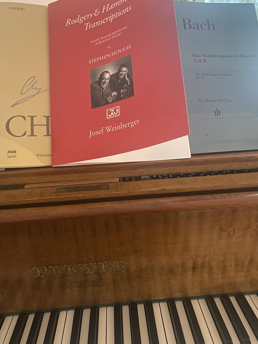 rowenamezzo tweet media