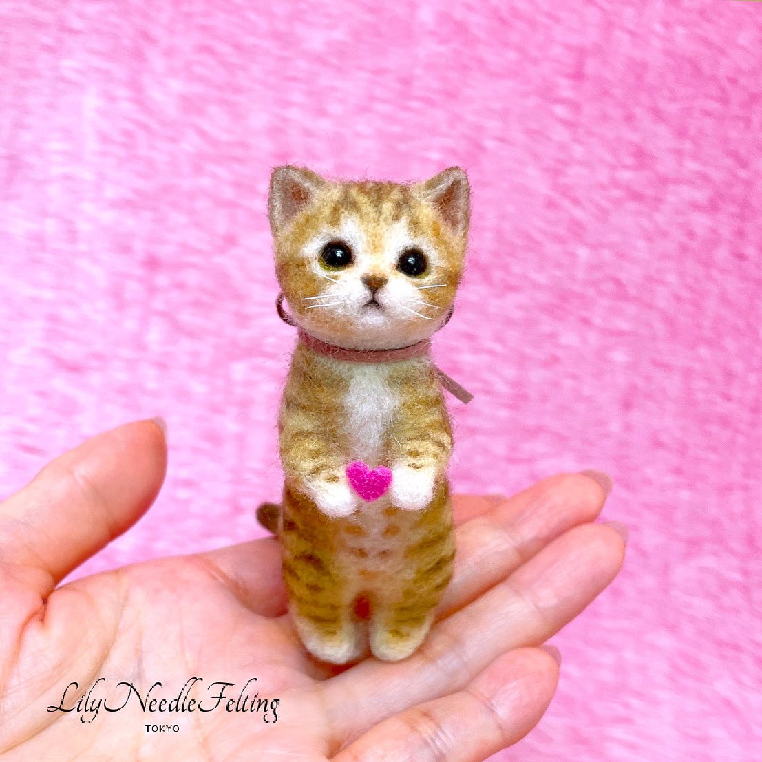 今日はねこの日🐾

いつも可愛い姿をみせてくれるねこさんたち、
ありがとう♡

#猫の日　#猫の日2024