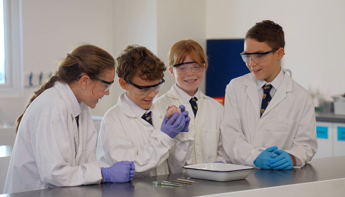 Boundary Oak School tweet media