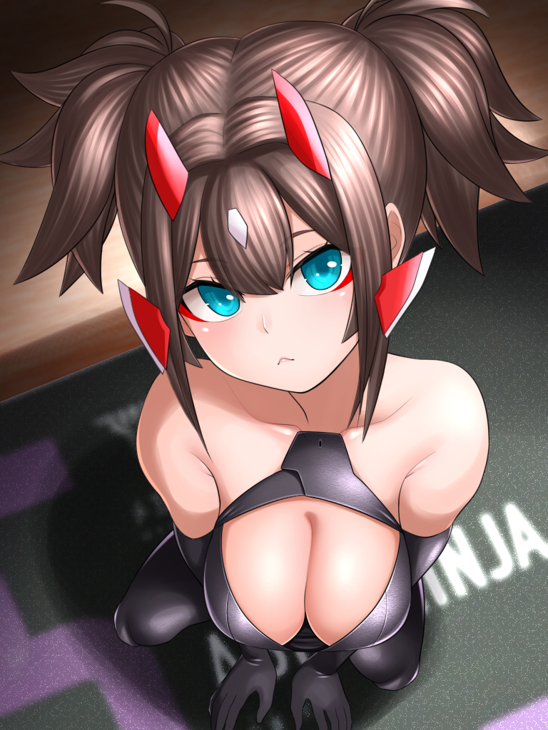 #忍者の日なのでニンジャを貼る 
ニ二ンニンニン 