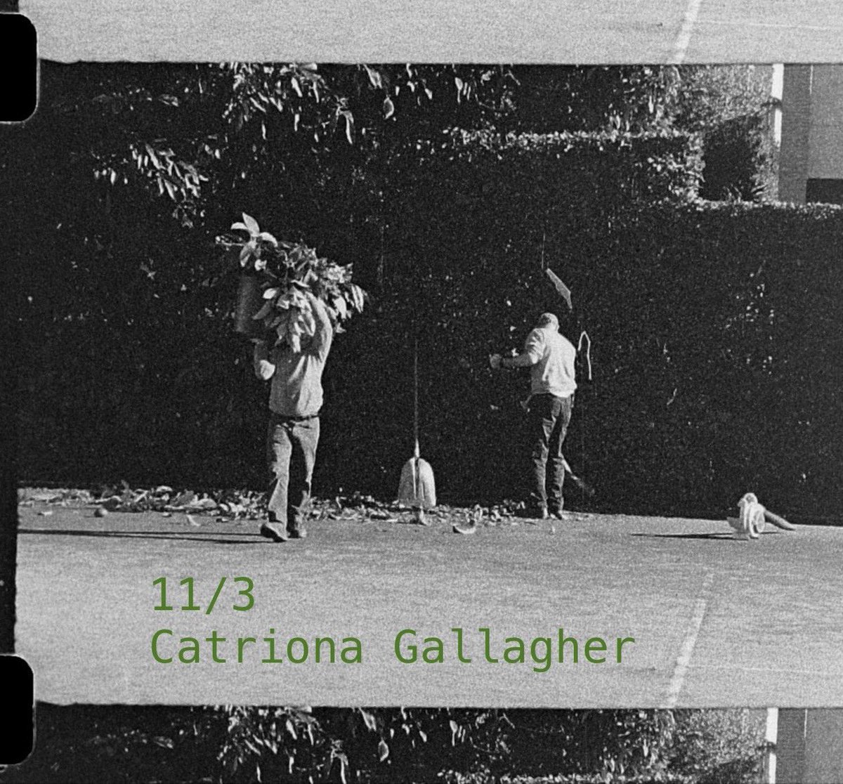 EaMi15's tweet photo. On 11/3/24 Catriona Gallagher joins us. Her film ‘Daphne was a torso ending in leaves’ (2024), 13 minutes; won KNF Award @iffr for Tiger Shorts Competition. She will discuss the dev @britishschoolatrome; and ‘Sketches for an Artificial Forest’, her exhibit at RoscommonArtsCentre. https://t.co/UpQ0xHhC0W