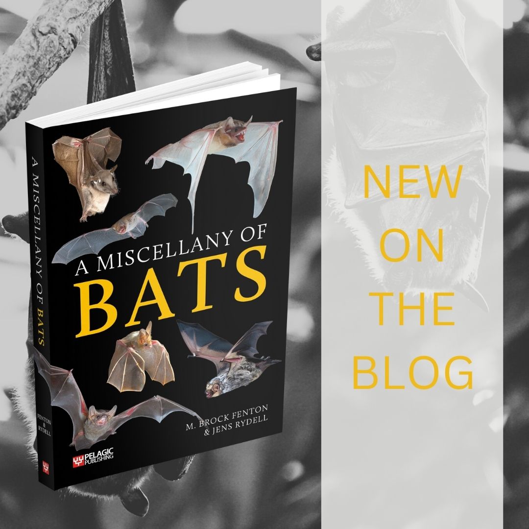 洋書　BATS     M. BROCK FENTON Amazon.com: Bats: A World of Science and Mystery: 9780226065120