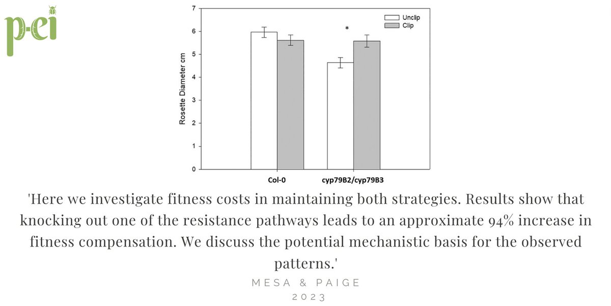 Mesa & Paige, 'Molecular constraints on tolerance-resistance trade-offs: Is there a cost?' Plant-Environment Interactions (2023) doi.org/10.1002/pei3.1… @WileyGlobal @wileyplantsci @wileyinresearch #scopus #molecularbiology