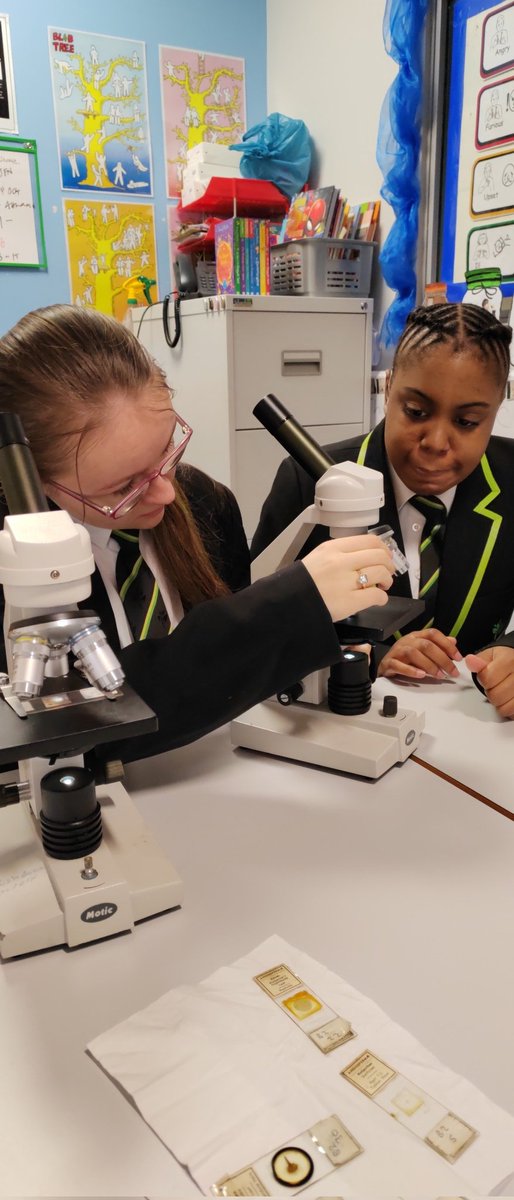 Super science! Working with a partner to observe cells.