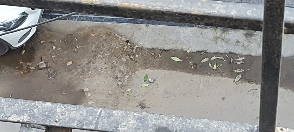 ispuneet's tweet photo. @IGLSocial BP No. 4001905383 I have done many complaints to fill the hole which was dig by IGL Staff but all in vain. I generate SRN but they closed SRN without taking my feedback. Look into the matter. https://t.co/poNEmLMrEJ