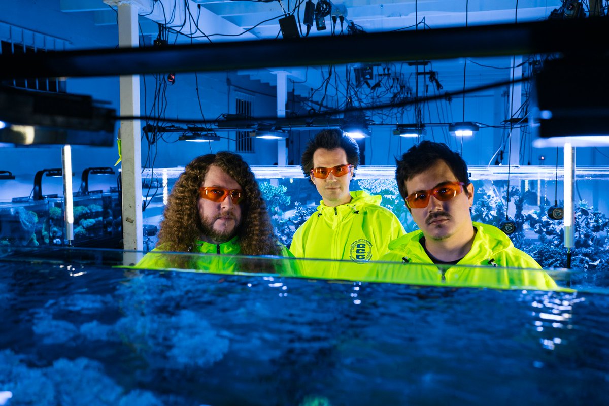 XLR8R's tweet photo. Nick León and Coral Morphologic collaborate on a new album. https://t.co/vqa2tIw6cZ @nickleon https://t.co/IIbXFY7hIK
