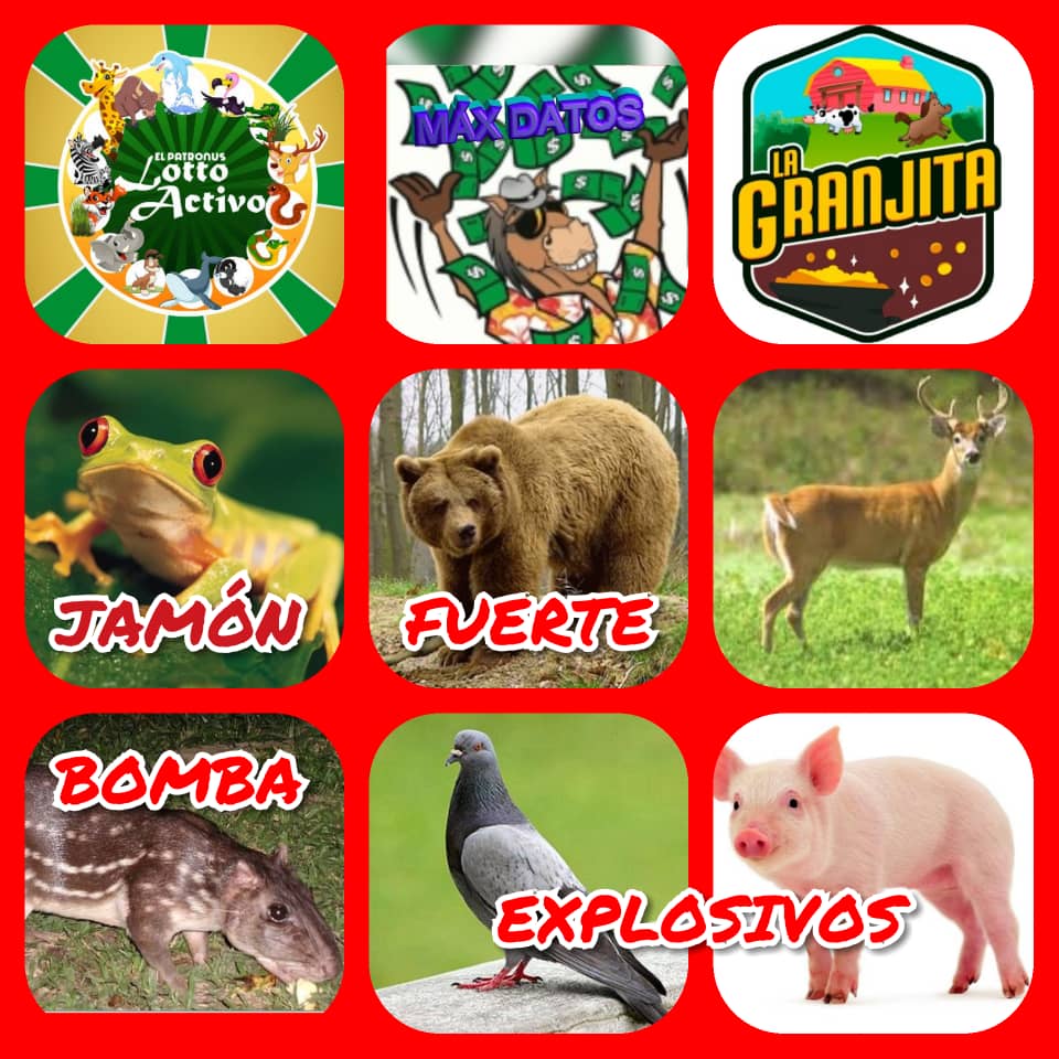 maxdatos's tweet image. BUEN DÍA GRUPO AQUÍ MI PEQUEÑO APORTE PARA HOY JUEVES SUERTE 🤑🍀🤑🍀🤑🍀