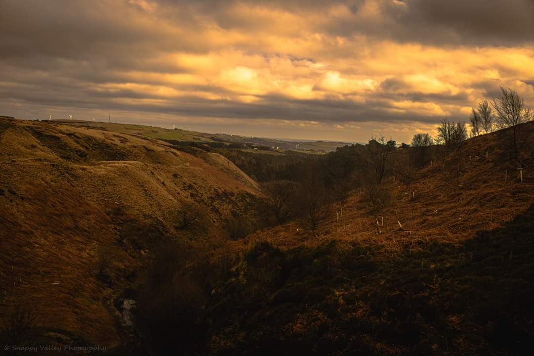 DanMarham's tweet photo. Handful of photos from a recent walk up to Ogden Nature Reserve @CalderCountry https://t.co/pd8yhYGm0S