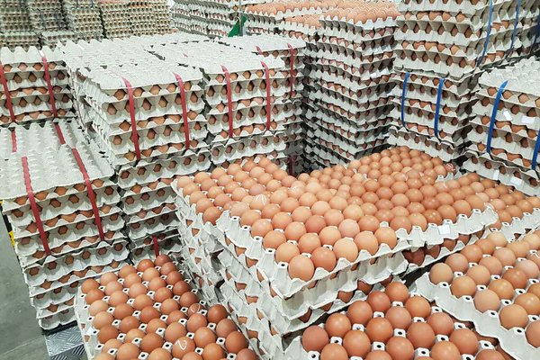 AmodaOgunlere's tweet photo. Hi guys , I am selling eggs. 500 naira per crate. The eggs wan spoil for warehouse ooooo..

 Please help retweet my customer may be on your TL 😭😭😭😭

Please note I am supporter of Bola Ahmed Tinubu https://t.co/dT8iu7Jm9k