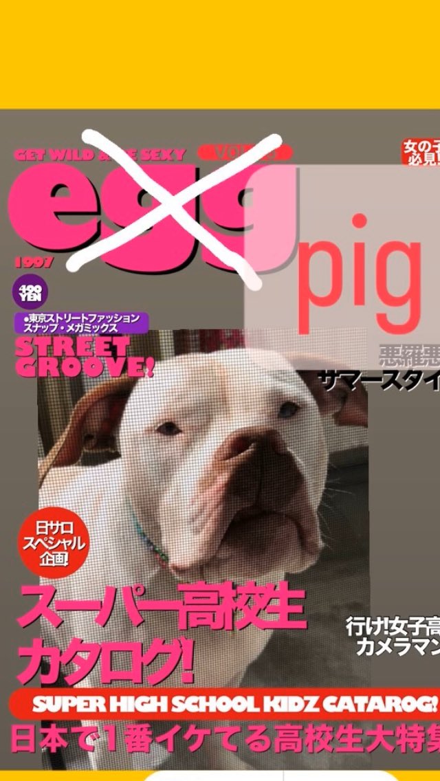 DPitj's tweet photo. ブーブーブー❣️ https://t.co/UxEWksO65v