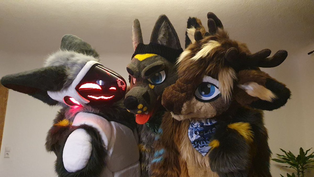 ToxicFox53's tweet image. Look at these cuties 💕

@8BitProtogen