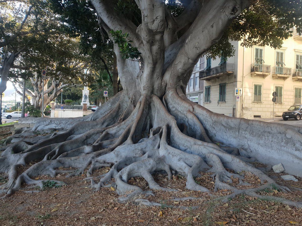 Alefix4's tweet photo. La bellezza,la maestosita' della natura.😌 https://t.co/WJNCu8a2Ip