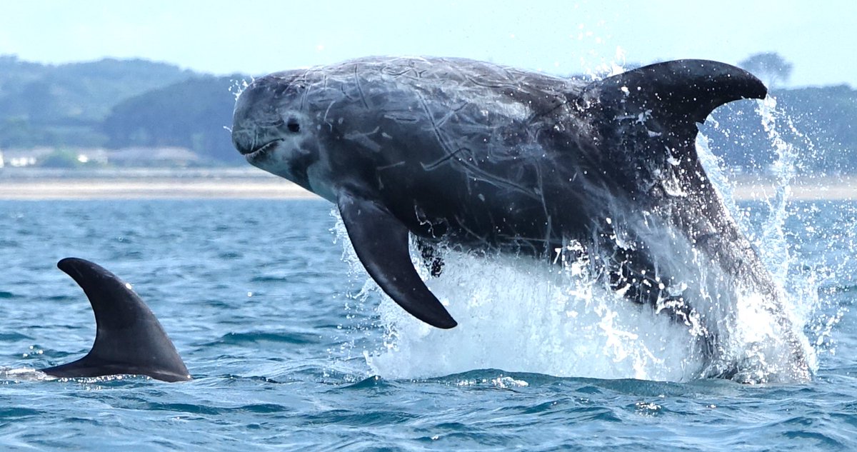 TheLoneKayaker tweet media