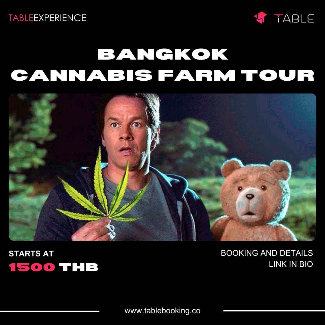 table_asia's tweet photo. Diving into the high life in Bangkok with a Cannabis Farm Tour! Uncover the buzz behind the scenes, from cultivation to culture. Elevate your experience in the heart of the city. 🔥

Booking link in bio

#Bangkok #Thailand https://t.co/Ae8GCcK6w6