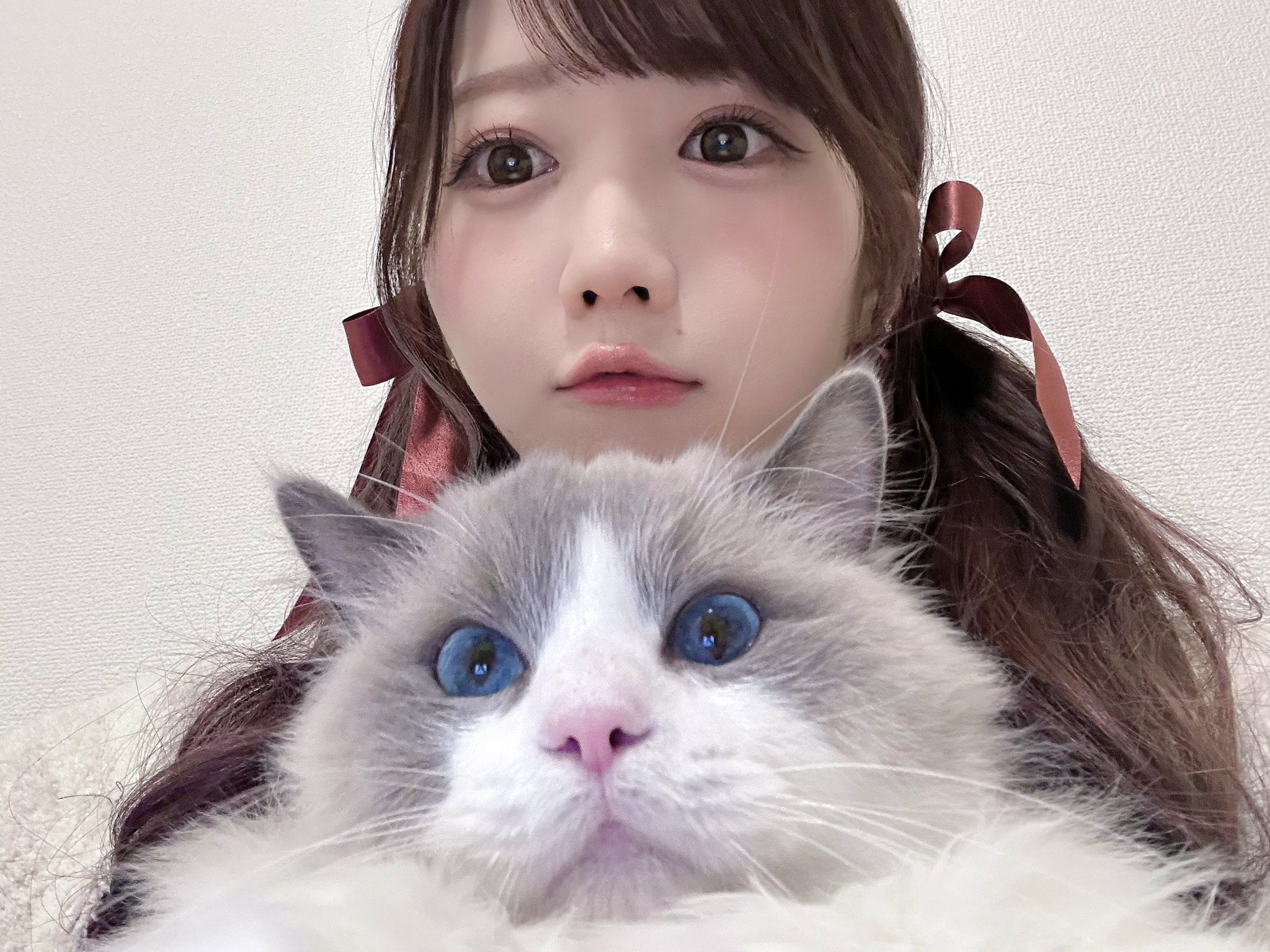 LOVE 大谷映美里 ミニフォトカードVol.9 レア 猫 LOVE 大谷映美里 ミニ