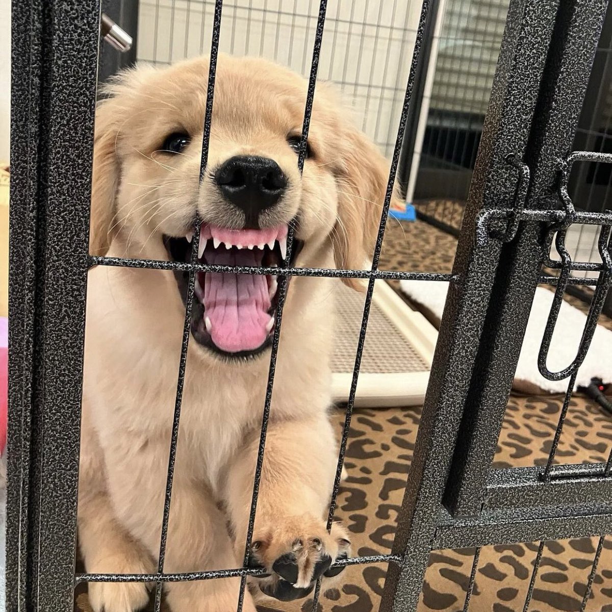 อยุ่กับเบบี๋                                            อยุ่กับเพื่อน