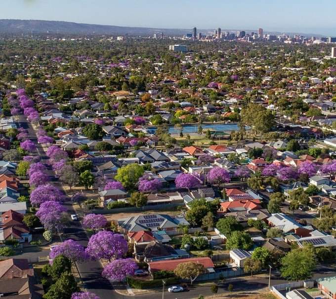 Şehirlerde yapılan ağaçlandırmanın;
•Depresyon ve stresin % 42 azaldığı,
•Ruh sağlığının % 63 geliştiği,
•Şiddet olaylarının % 29 azaldığı,
•Bağışıklık sisteminin güçlendiği,
•Sağlık harcamalarının azaldığı.
Lütfen bir tanede olsa fidan dikin bu sonbaharda.🌳🌲