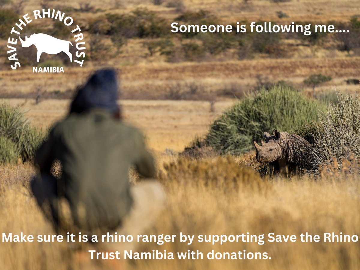 Please help us make sure that Save the Rhino Trust rangers are always the ones following these beautiful creatures.

Make a donation today using this link: justgiving.com/fundraising/sa…...

#savetherhinotrust
#saverhino
#namibia
#Rangers
#bootsontheground
#ConservationNamibia