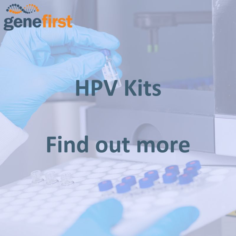 The GeneFirst Papilloplex HPV tests are designed for a true molecular HPV screening and triage testing strategy to support risk stratification of women infected with HPV. Find out more - loom.ly/R_O4jnw

#genefirst #hpv #hpvcancer #cervicalcancer #hpvvaccine #hpvtesting