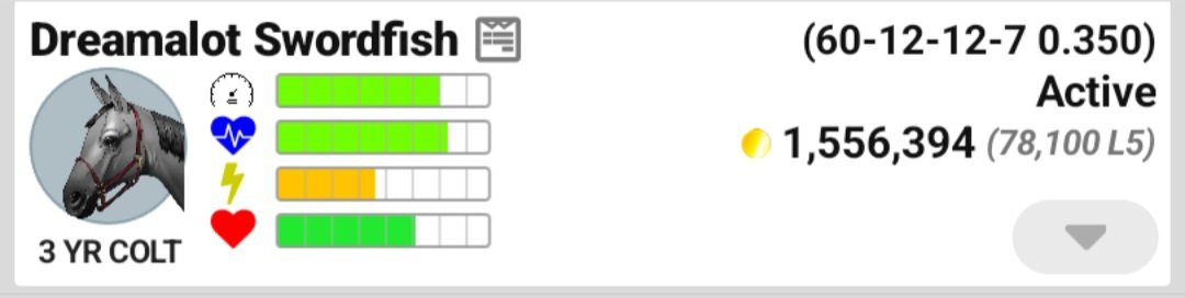 Dreamalot Stables tweet media