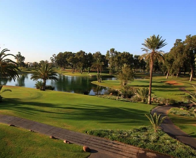 Rui Palace Tikida Agadir Hotel
Golf holidays in Morocco​
A Golfing Experience  Since 1989
35 years of great golf travel service ⛳️

#golf #golfbreaks #golfhotel #golfholiday #golfstagram #luxurytravel #luxurygolf #travelexpert #golftravel #golftravelexpert