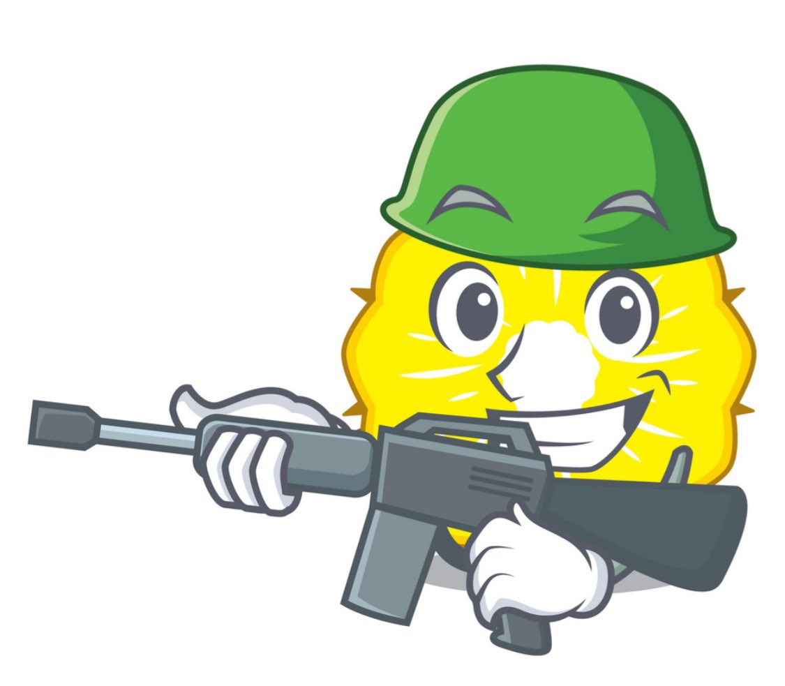 ballply2022's tweet photo. @mountains_anna #JoinThePineappleBrigade
#SaveSteve
#JoinNow
#EverbodyLovesSteve https://t.co/ZT7A1ZSOqz