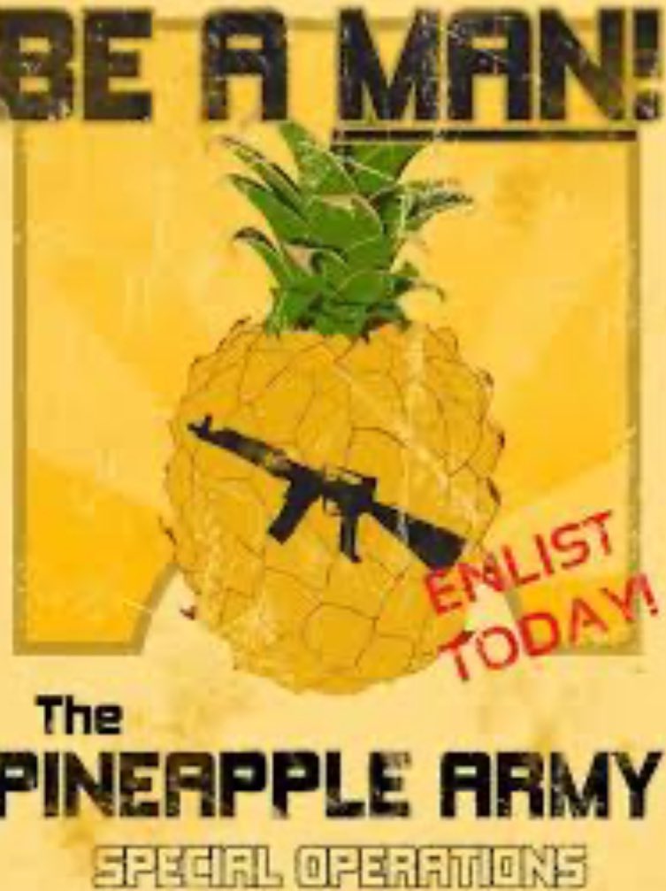 ballply2022's tweet photo. @mountains_anna #JoinThePineappleBrigade
#SaveSteve
#JoinNow
#EverbodyLovesSteve https://t.co/ZT7A1ZSOqz