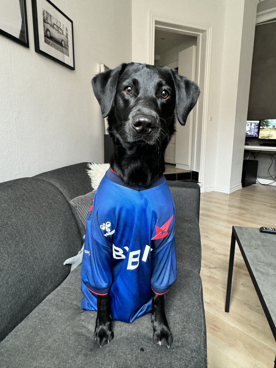 FRiiKKE (@friiikke) on Twitter photo 