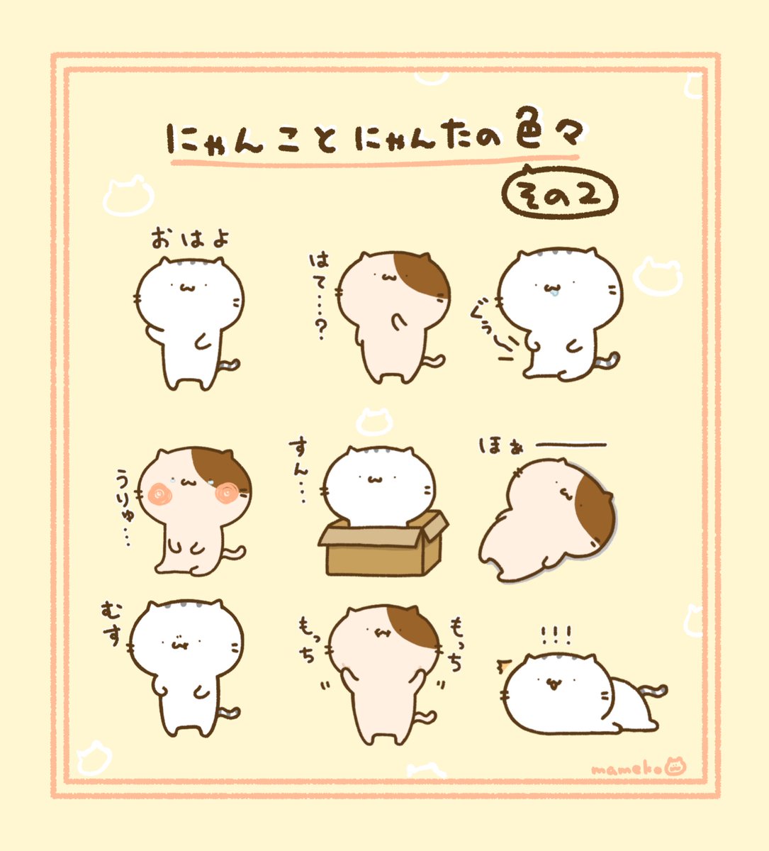 まめこ (@_nyanko_nyanta) / Posts / X
