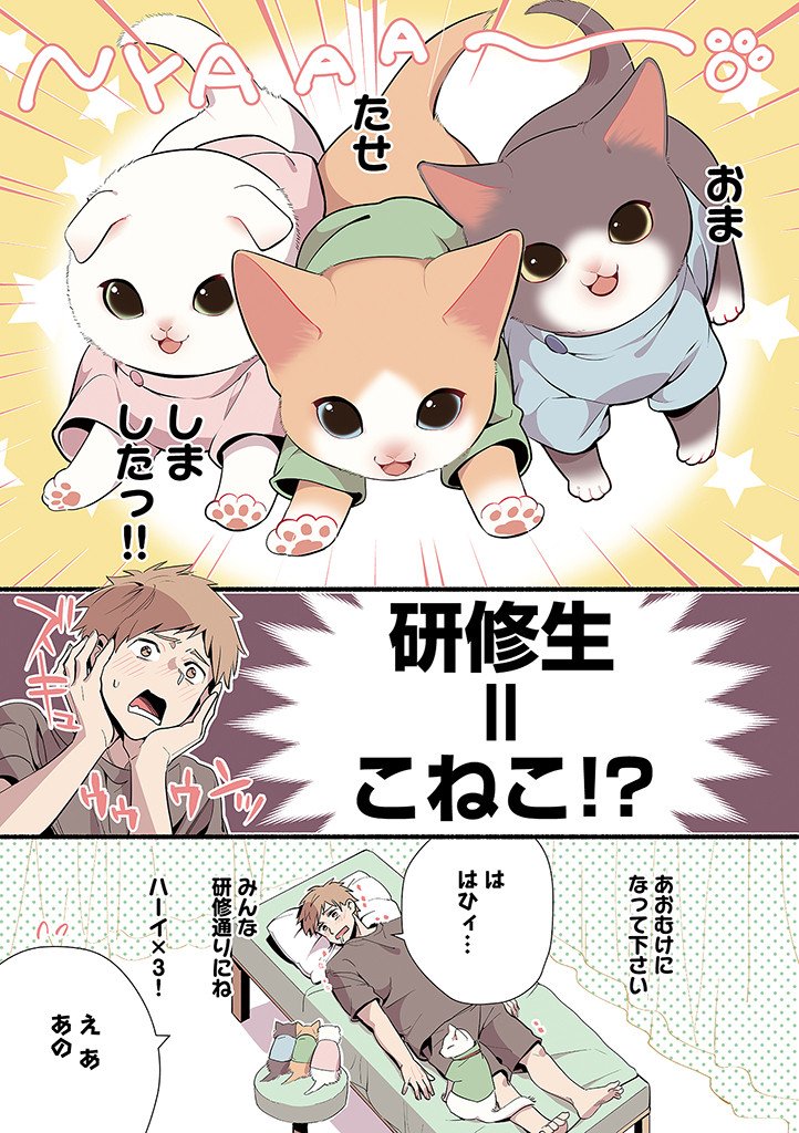猫のマッサージ屋さんの漫画です
(3/3)
#漫画が読めるハッシュタグ
#猫の日2024
#ねこのマッサージ屋さん