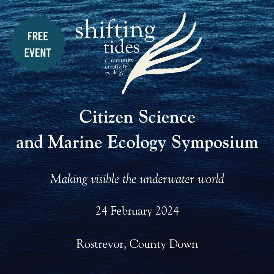 Seasearch NI tweet media