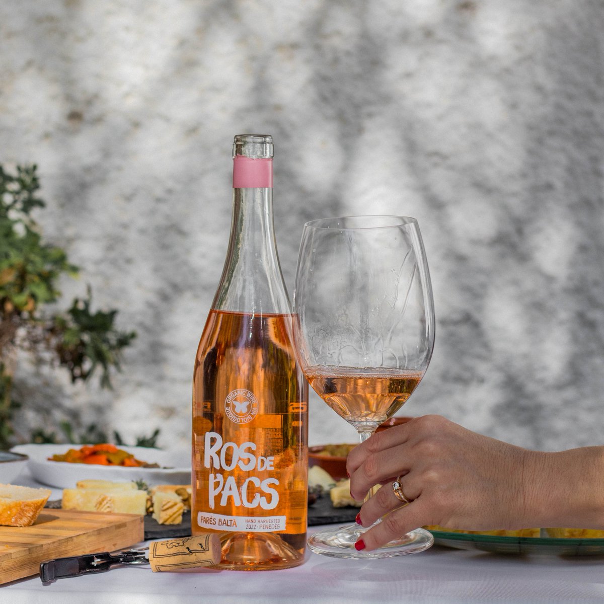 En Ros de Pacs encontramos frescor, suavidad y ligereza. A través del cupage de #xarello y #garnacha queremos transmitir el lado más aromático de estas variedades #penedes #paresbalta