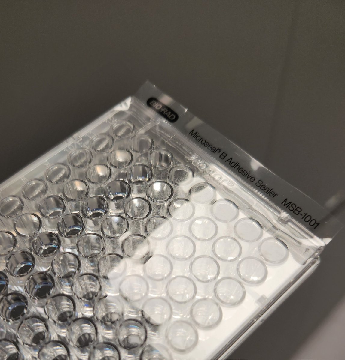Needed to do 96 wp platereader anaerobic cultures but the machine is not built for that. Then I thought: no headspace = no oxygen right? So I filled the wells to the brim and stuck PCR seal over it and BOOM it worked! Data below 👇