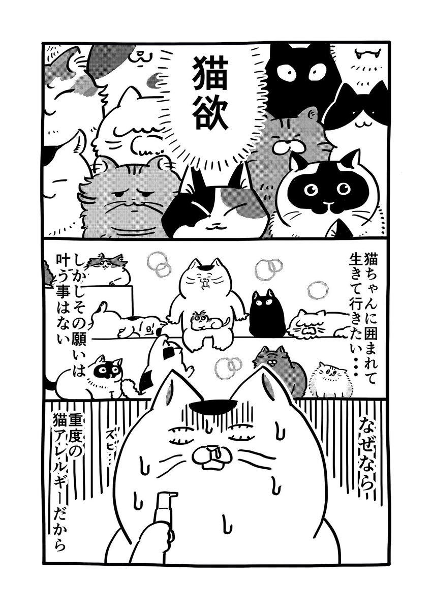 nerikesi_dayo's tweet image. 猫アレルギーが猫カフェに！(1/5)
保護ねことVEGANのお店“neu。”
（@neu_neco）さんに行ってきました！

#猫の日　#猫の日2024
#漫画が読めるハッシュタグ
#マンガが読めるハッシュタグ