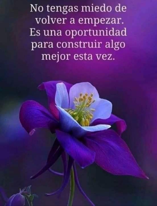 Así es.......🪻🪻💜🪻🪻