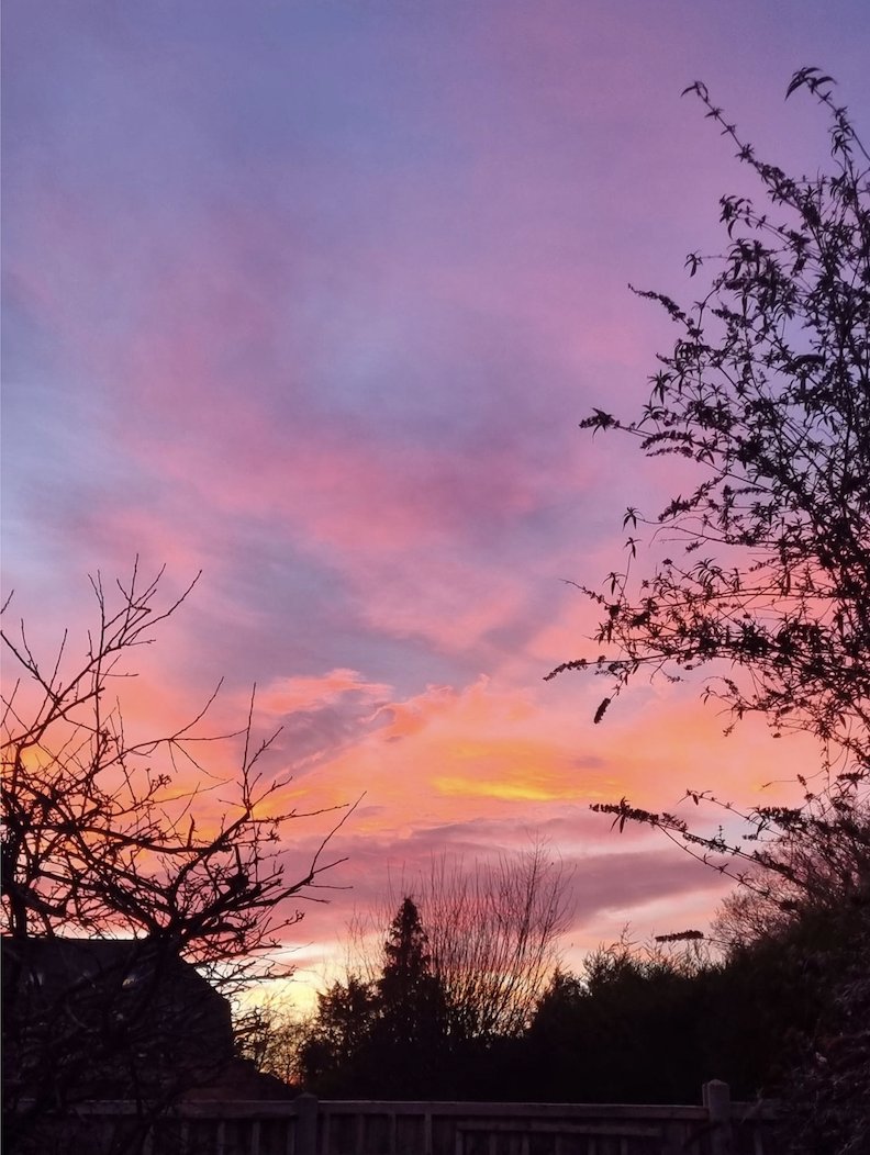 SURE Recovery tweet media