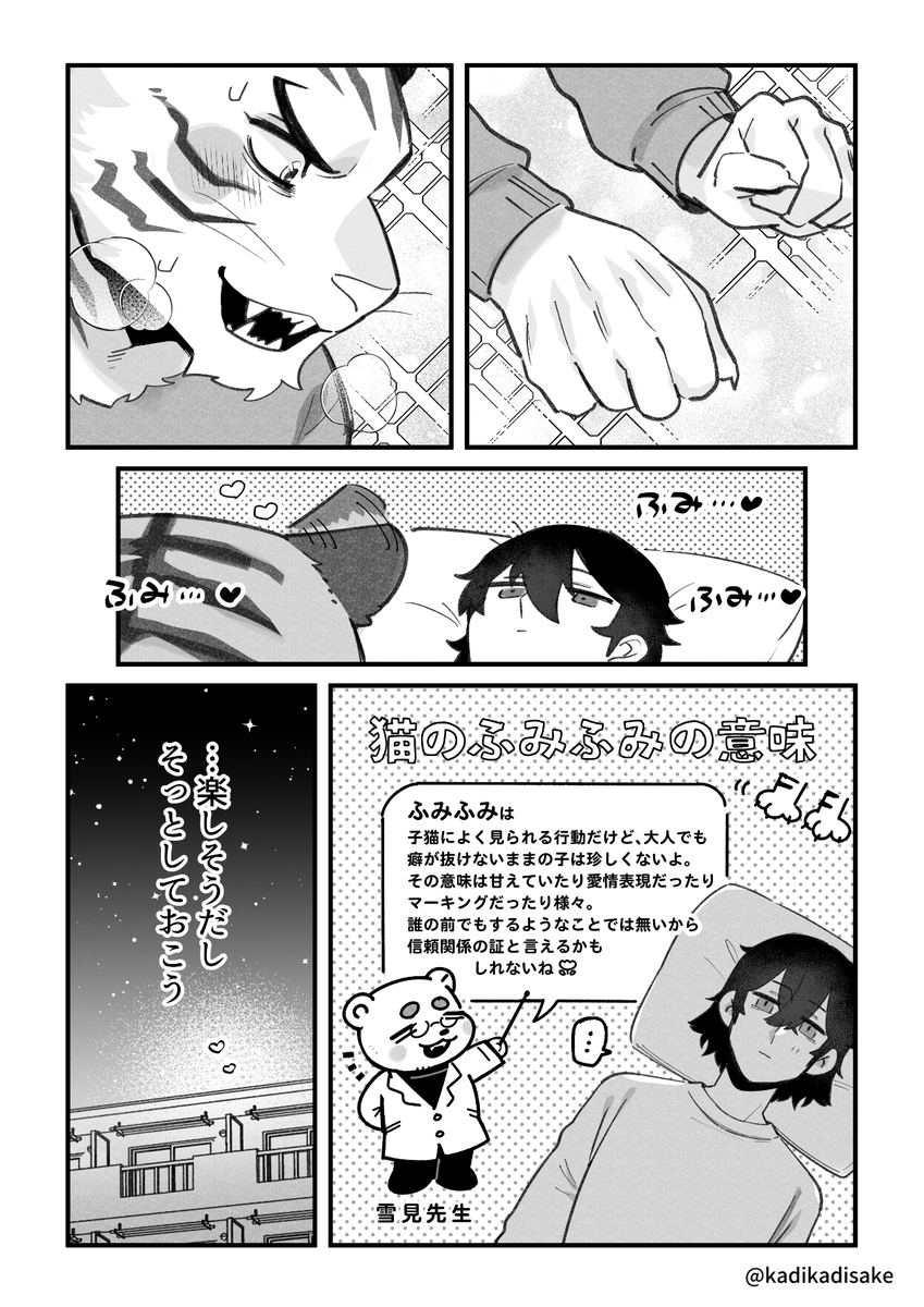 猫の日なのでネコチャンの話🐈🐾 