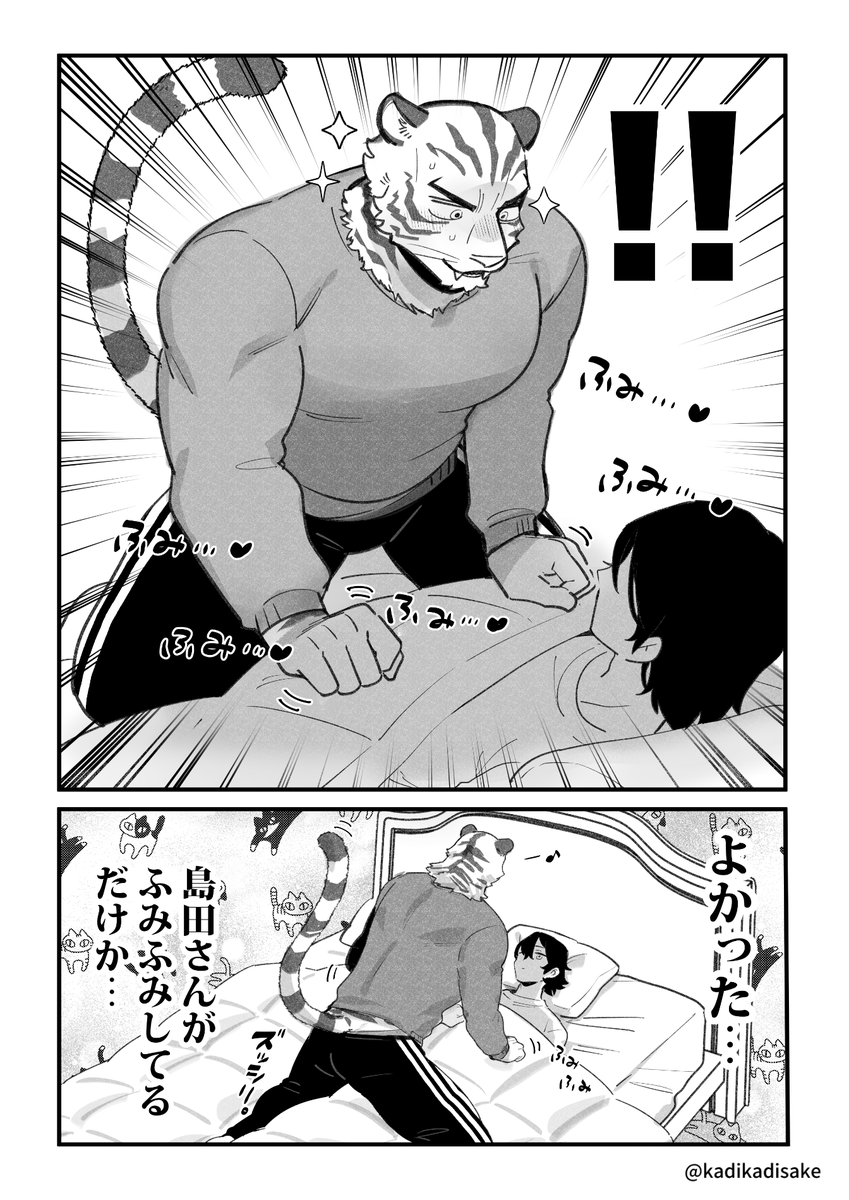 猫の日なのでネコチャンの話🐈🐾 