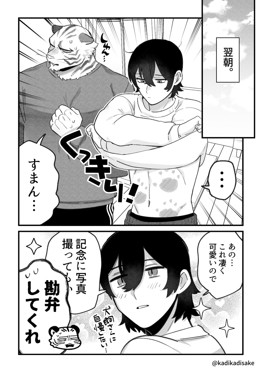 猫の日なのでネコチャンの話🐈🐾 
