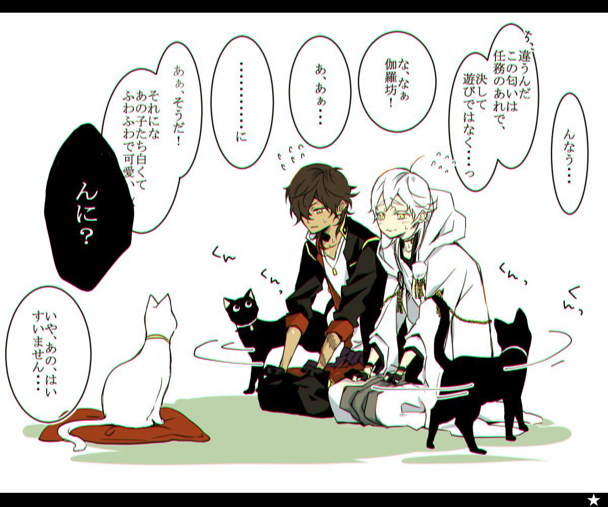 猫の日なので…うちのボスをば🐱✨
※再掲 