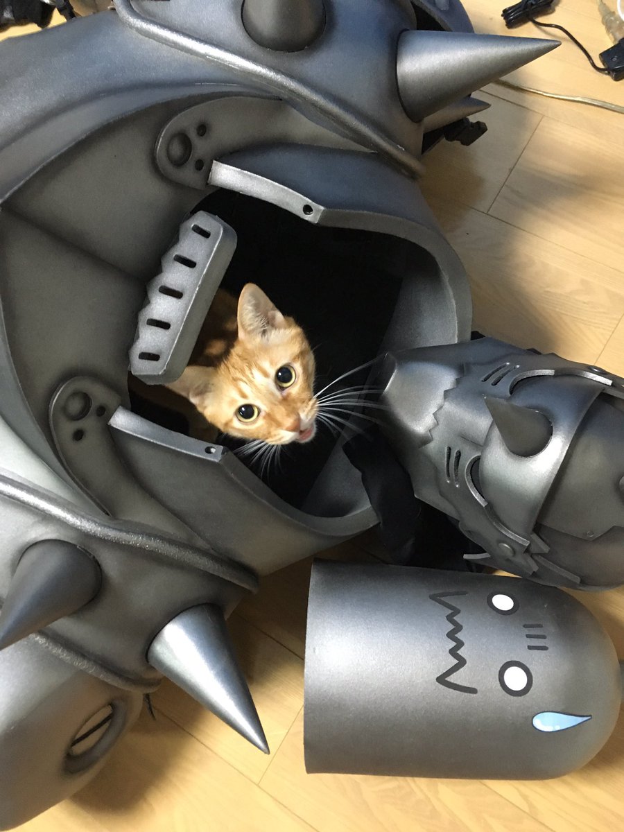 ECAPT1's tweet photo. #猫の日 https://t.co/pKFiSM7SgA