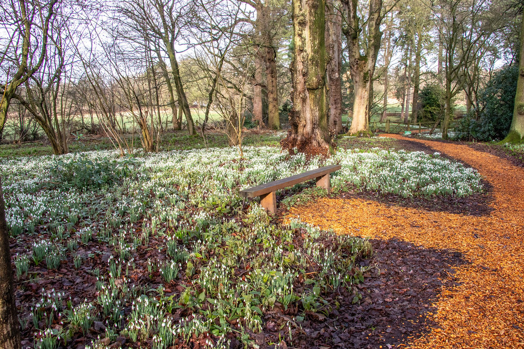 Due to the exceptionally wet February we are unable to offer our usual over flow parking so this weekend (24 &amp; 25 Feb) we are accepting pre-booked tickets only with allocated time slots.  To book please go to rodehall.co.uk