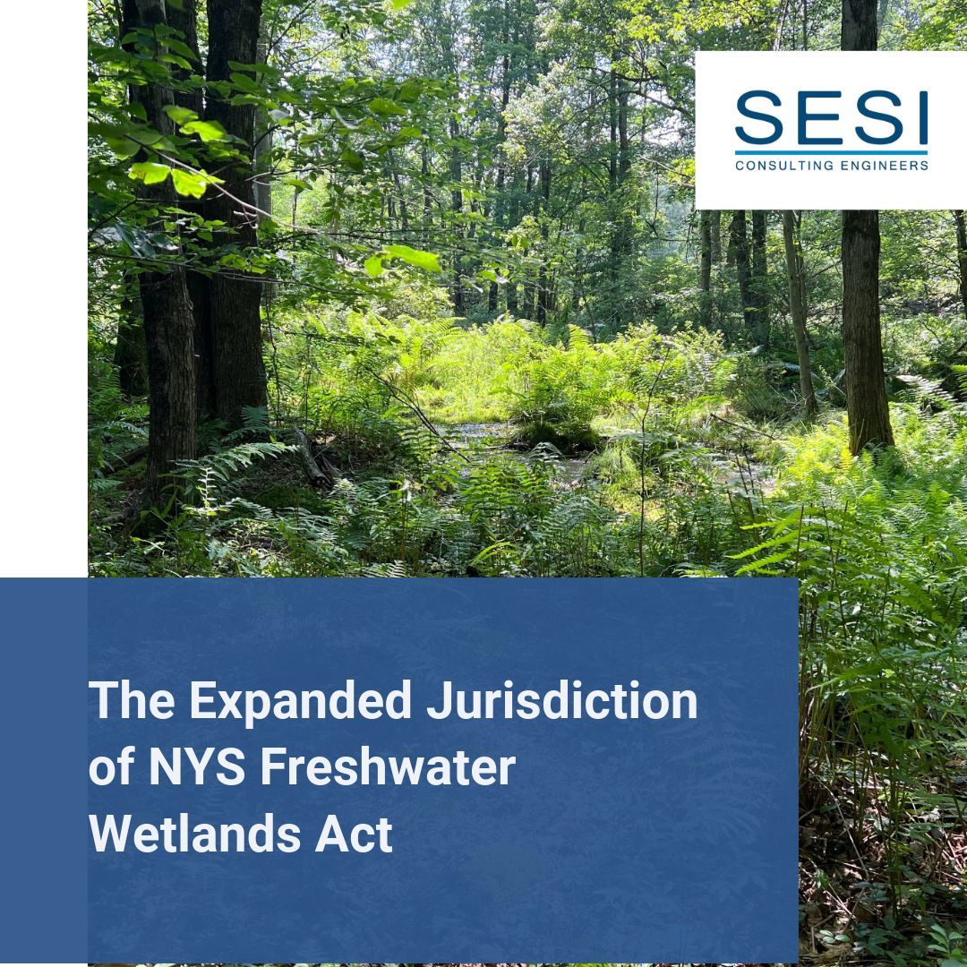 In less than a year there will be notable changes to how NYS views wetlands. Read her short article to understand how wetlands will be defined starting January 1st 2025 and again January 1st 2028. 
sesi.org/news/the-expan…