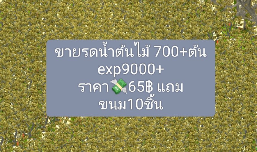 ขายรดน้ำต้นไม้ 700+ต้น
exp9000+
ราคา💸65฿ แถมขนม10ชิ้น
#hayday #haydaythailand #ไอเทมhayday #ขายของhayday #ตลาดนัดhayday #ไอเทมเฮย์เดย์
