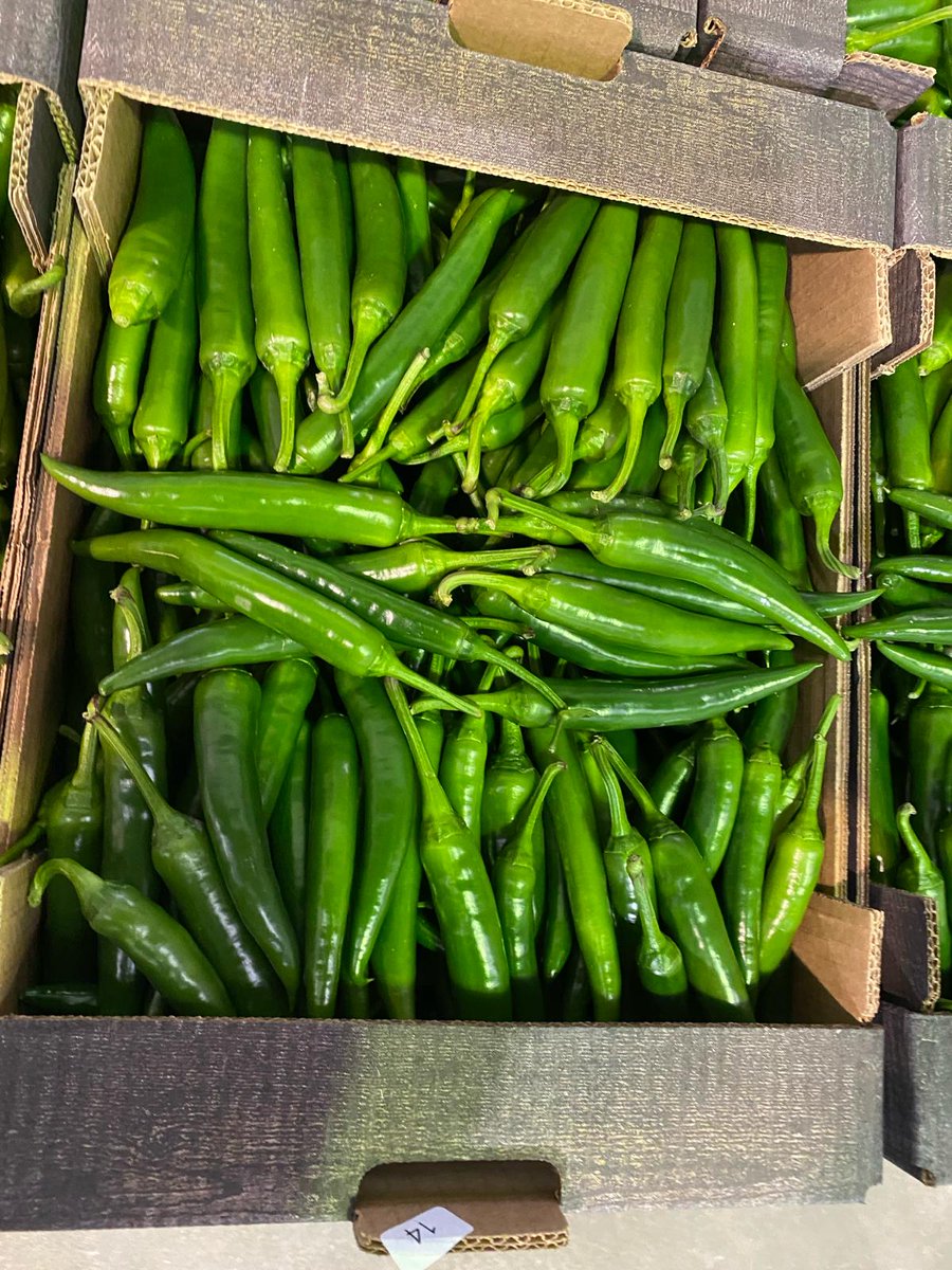 Padron Peppers✅, Green Jalapeño 🟢&amp; Green Chillies 🥵all year round🔁! Give us a call 📞and place your order🗒️! #Pepperfectness #NicolasGarden #Chillicious
