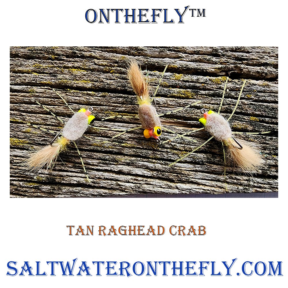 Tan Raghead Crab size 6 heavy
Tied Locally
saltwateronthefly.com/product/tan-ra…
:
#crabs #flytying #saltwaterflyfishing #permitflyfishing #bahamaflyfishing #floridakeys #florida #redfishflyfishing #saltwateronthefly